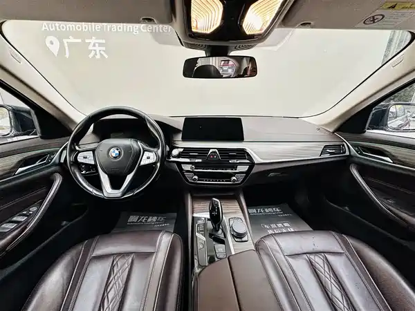 BMW 5 Series New Energy 2019