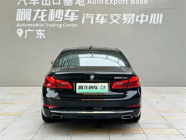 BMW 5 Series New Energy 2019
