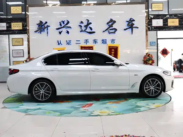 BMW 5 Series New Energy 2022