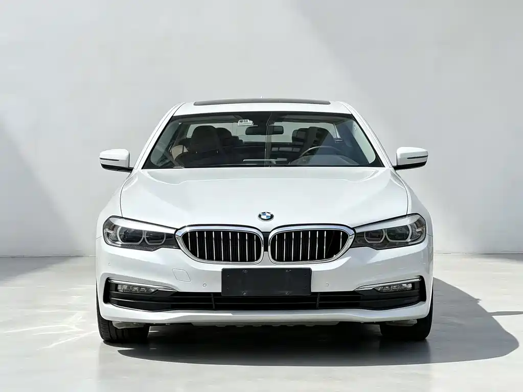 BMW 5 Series 2017 — фото 2