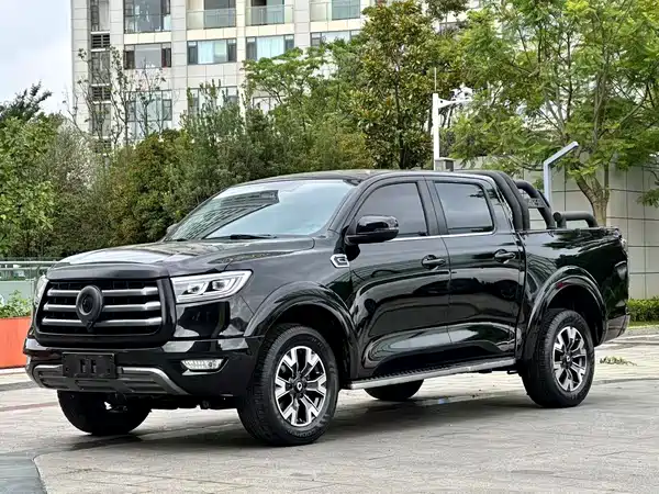 Great Wall Poer 2021