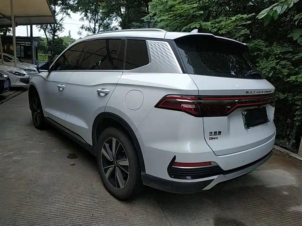 BYD Pro New Energy 2022 — фото 5