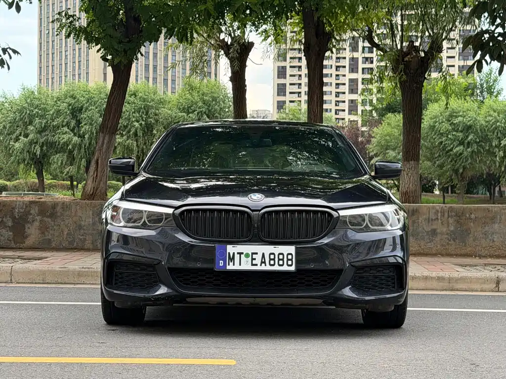 BMW 5 Series 2019