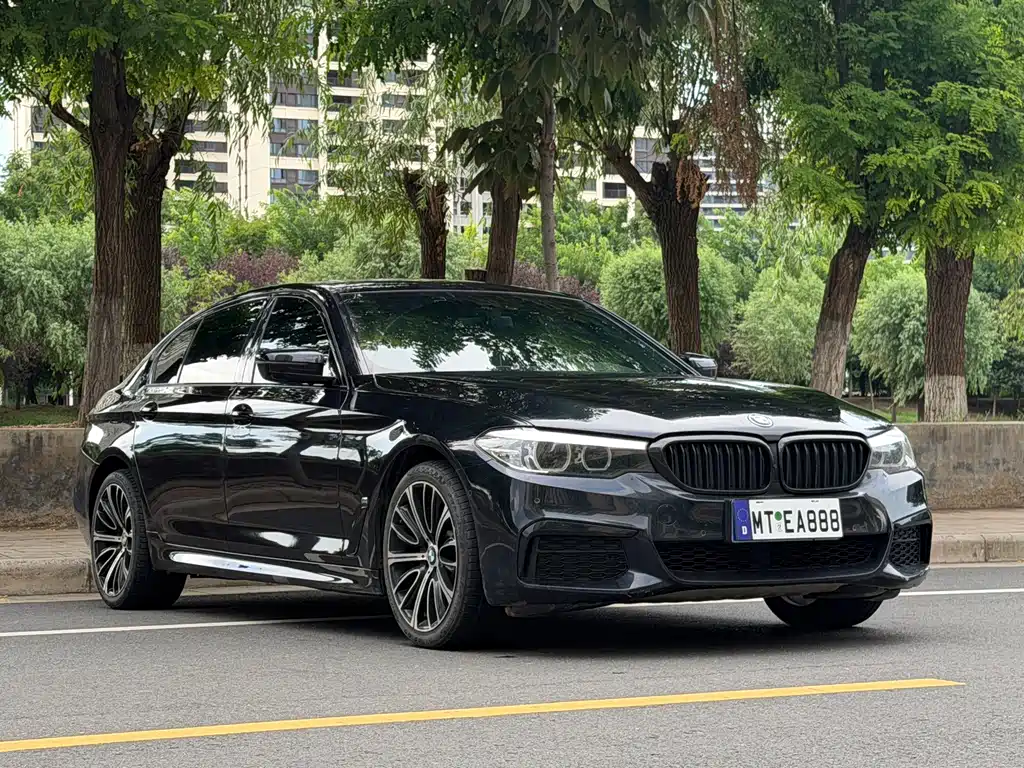 BMW 5 Series 2019