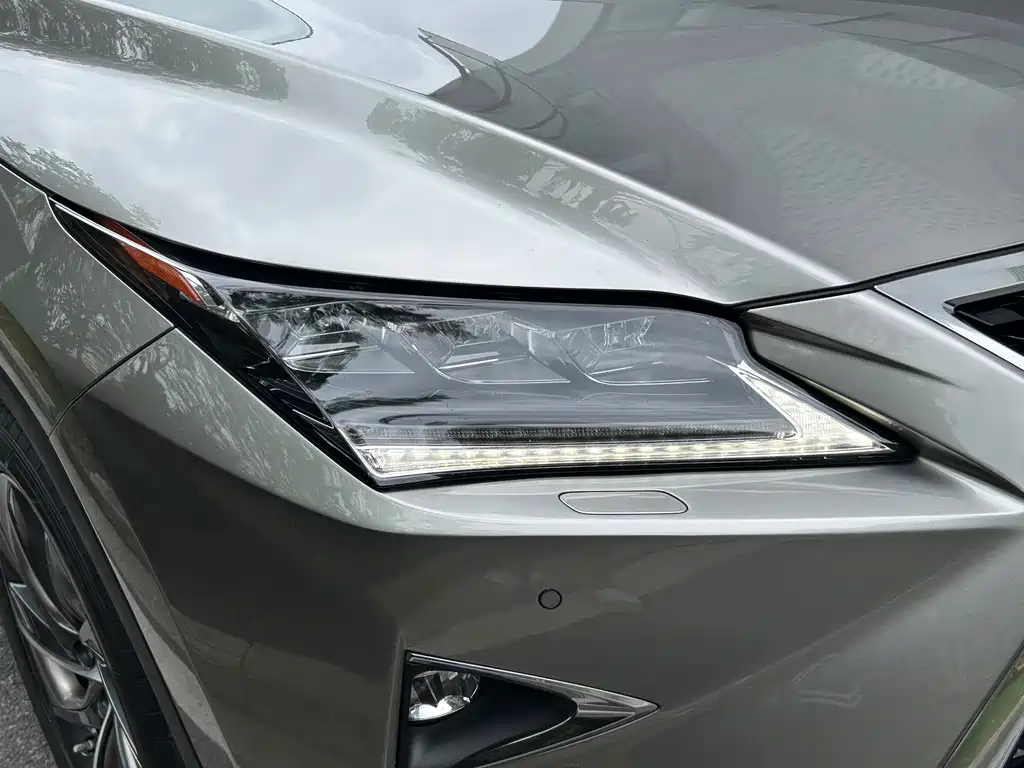 Lexus RX 2018 — фото 25