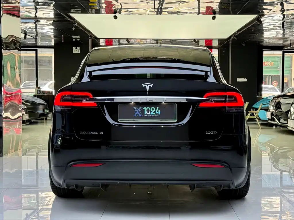 Tesla Model X 2019 — фото 6
