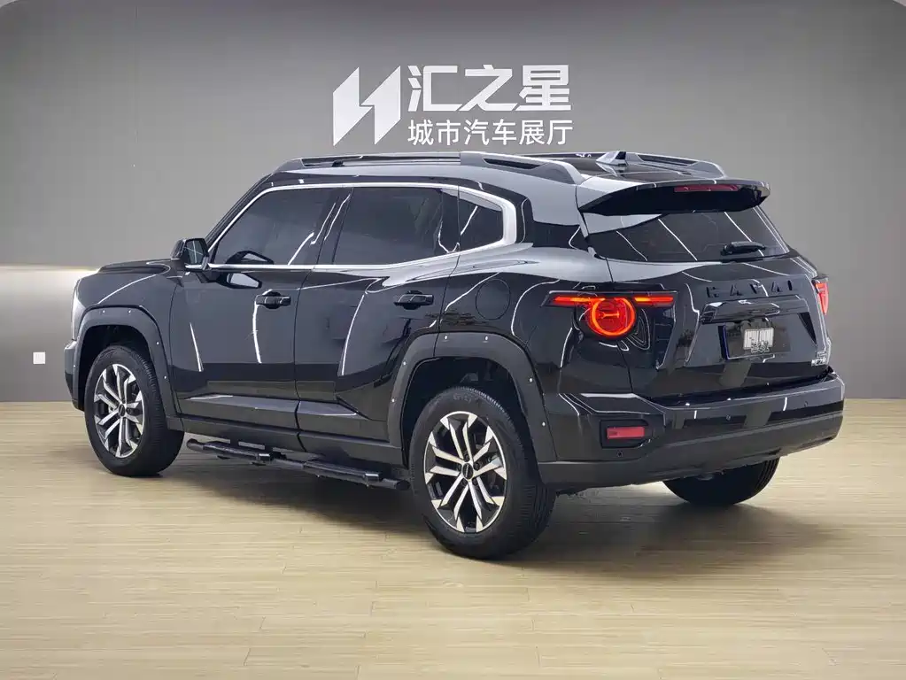 Haval Dog PLUS 2025 — фото 3