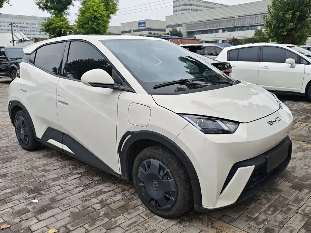 BYD Seagull 2024