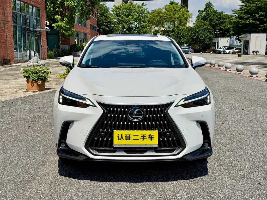 Lexus NX 2024 — фото 8