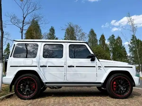 Mercedes-Benz G-Class 2019