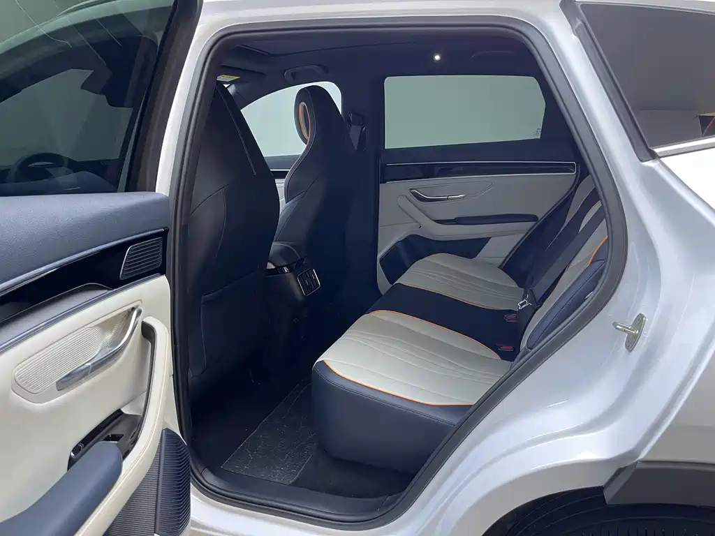 BYD PLUS New Energy 2022 — фото 12