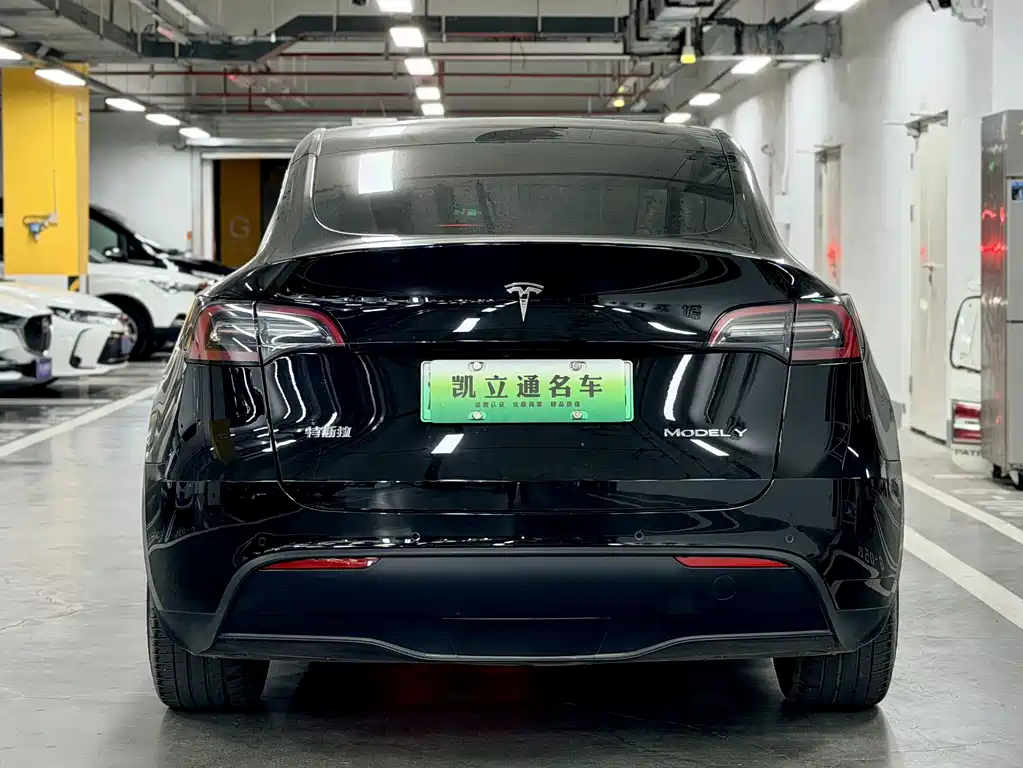 Tesla Model Y 2023 — фото 6