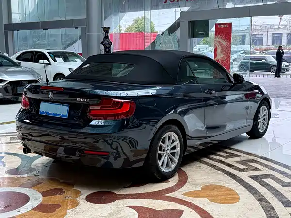 BMW 2 Series 2015