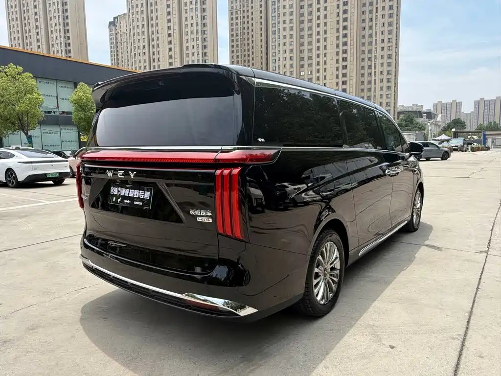 Wey Gaoshan 2025