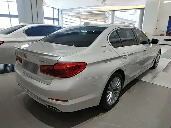 BMW 5 Series New Energy 2019