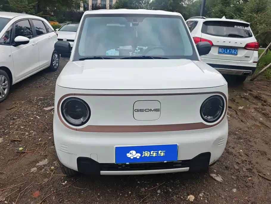 Geely Galaxy Panda 2025