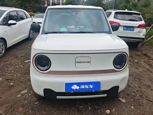 Geely Galaxy Panda 2025