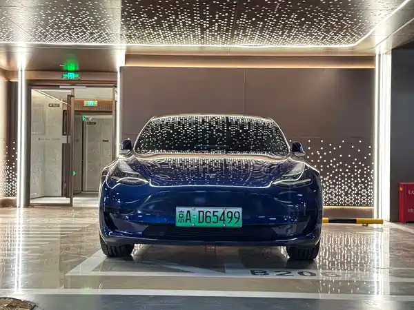Tesla Model 3 2019