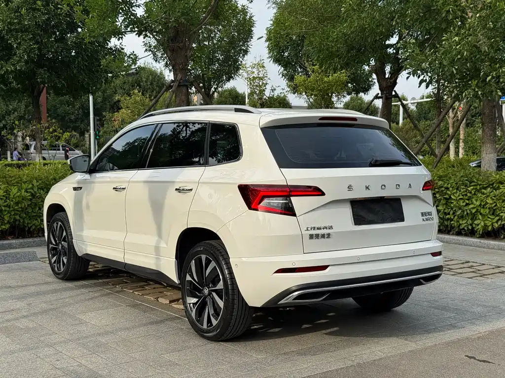 Skoda Karoq 2023 — фото 9