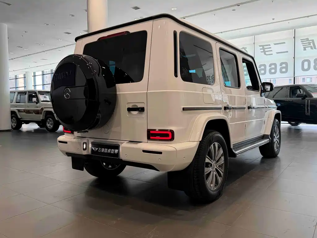 Mercedes-Benz G-Class 2019 — фото 28