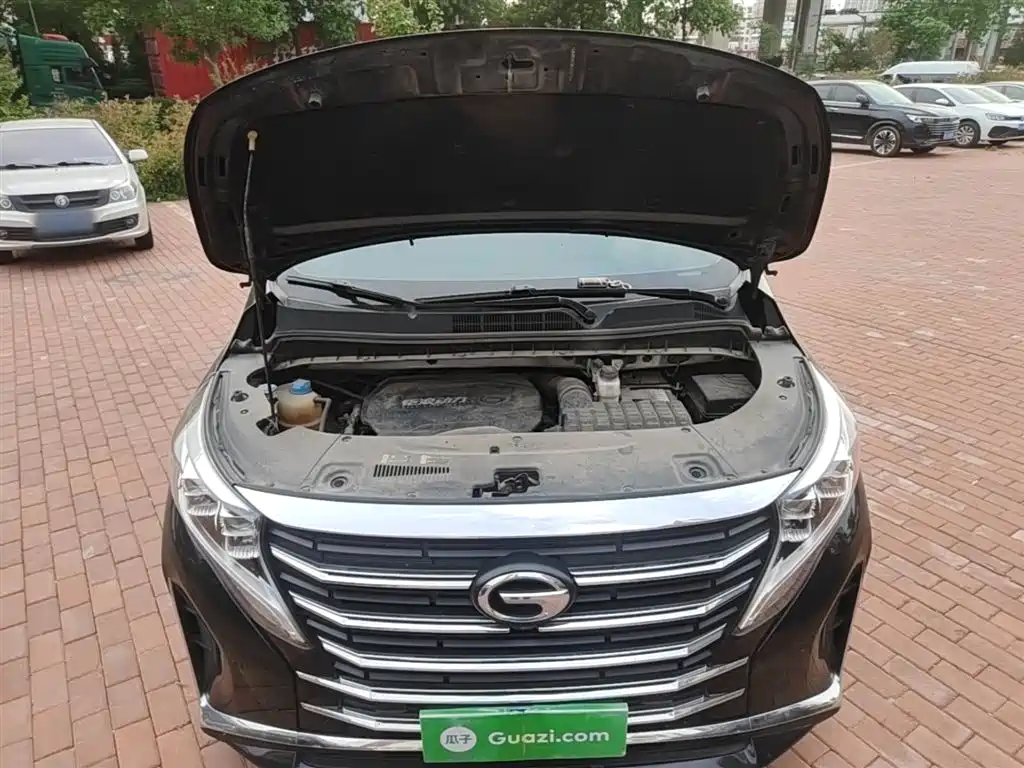 GAC Motor Trumpchi M8 2022 — фото 20