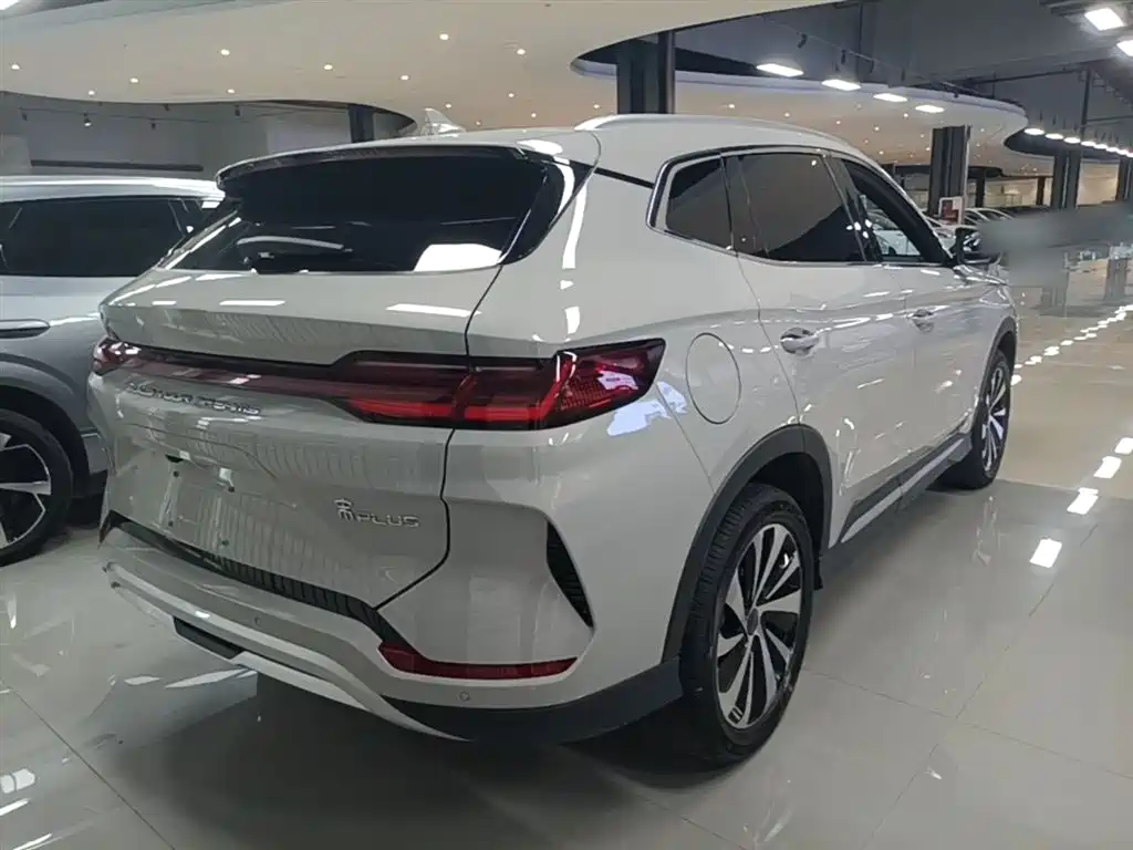 BYD PLUS New Energy 2024 — фото 7