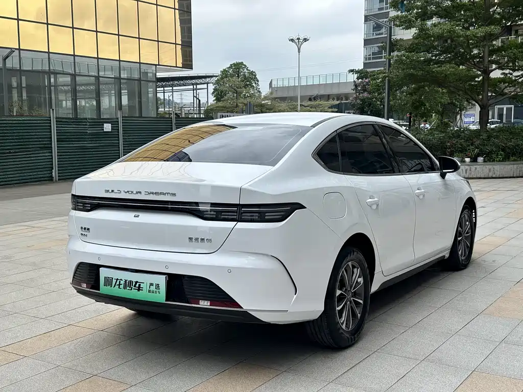 BYD Destroyer 05 2024 — фото 4
