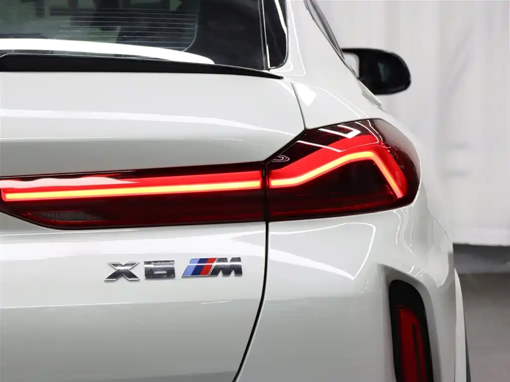 BMW X6 M 2022 — фото 31