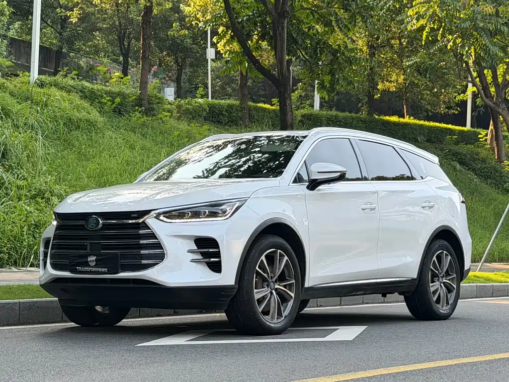 BYD Tang New Energy 2020 — фото 1