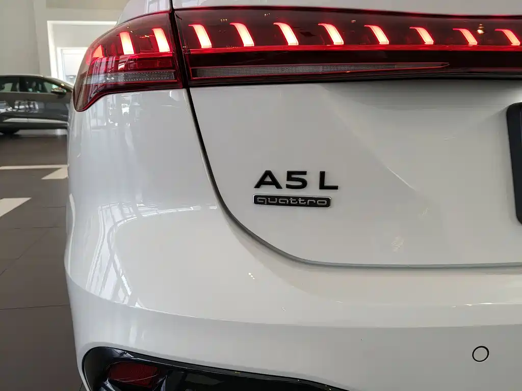 Audi A5L — фото 18