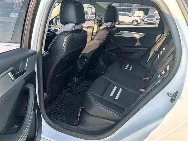 BYD Qin Pro New Energy 2020