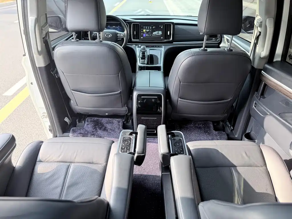 GAC Motor Trumpchi M8 2021 — фото 8