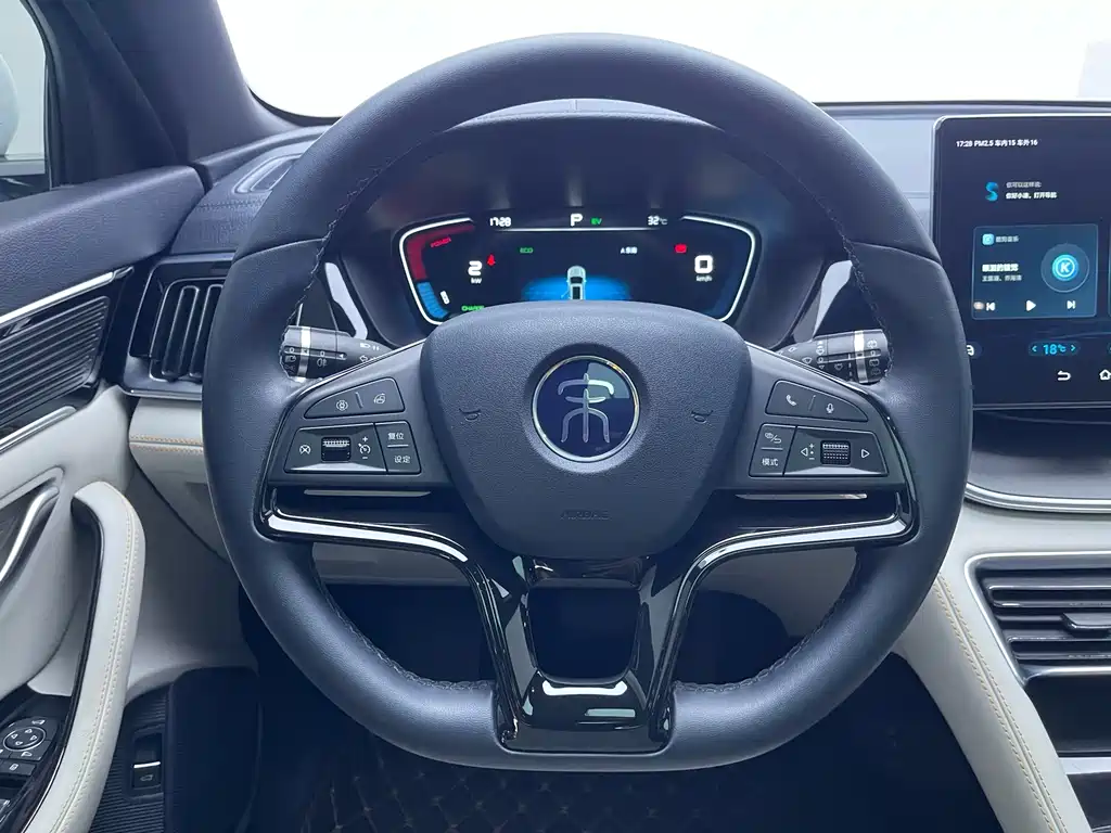 BYD PLUS New Energy 2022 — фото 16