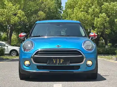 MINI MINI 2018