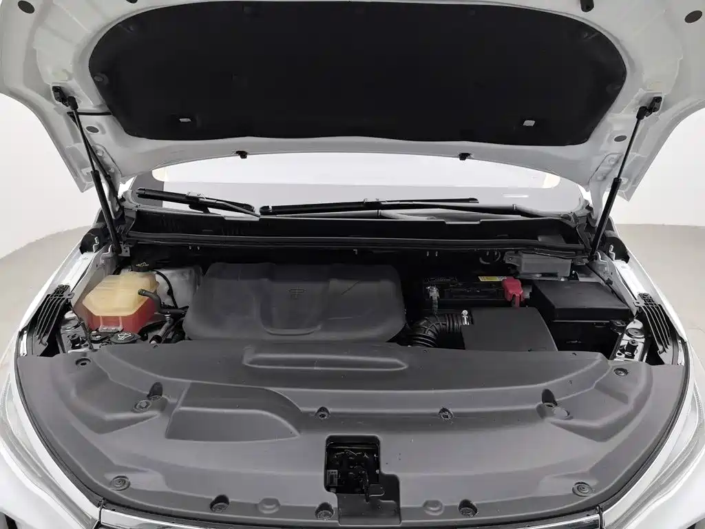 BYD MAX 2019