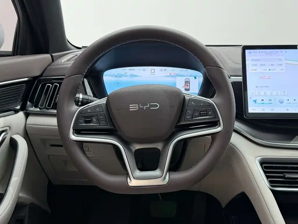 BYD Song PLUS New Energy 2025 — фото 26