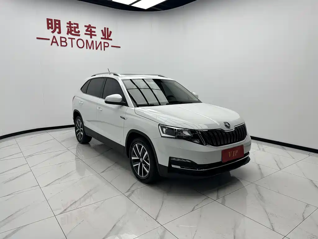 Skoda Kamiq 2024 — фото 3