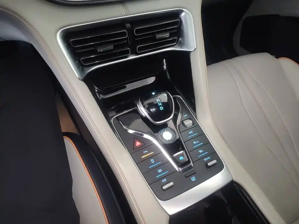 BYD PLUS New Energy 2022 — фото 14