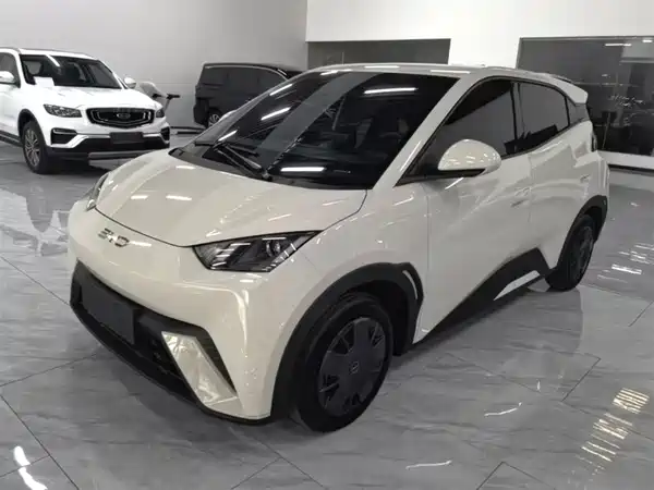 BYD Seagull 2024