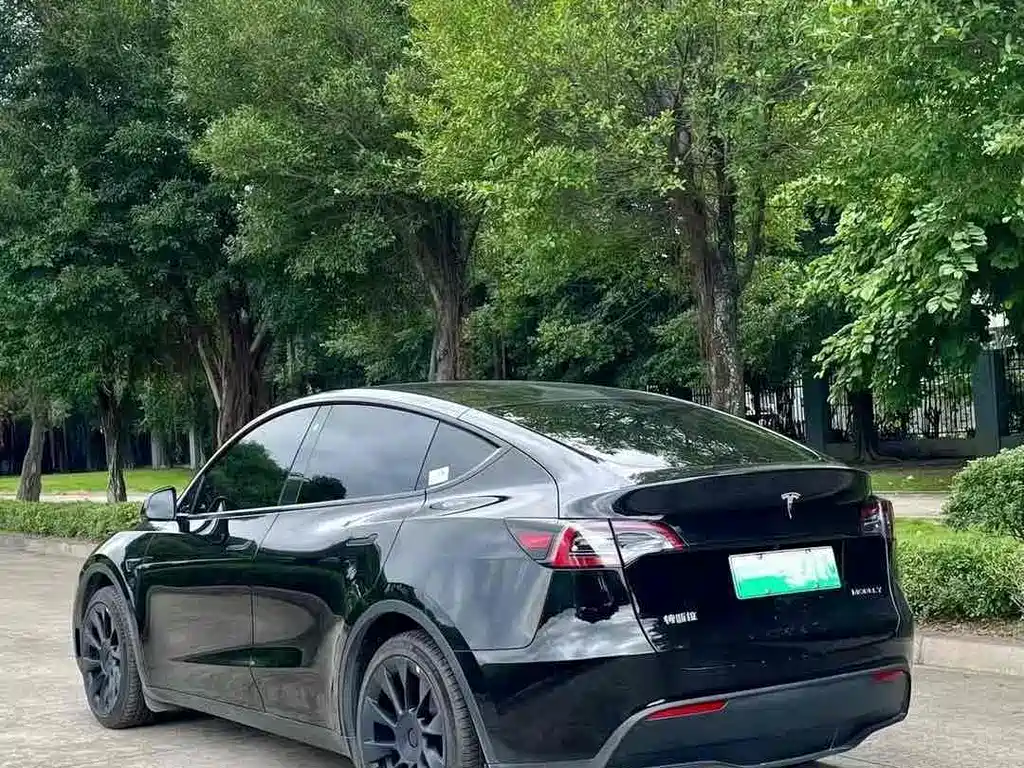 Tesla Model Y 2024 — фото 9