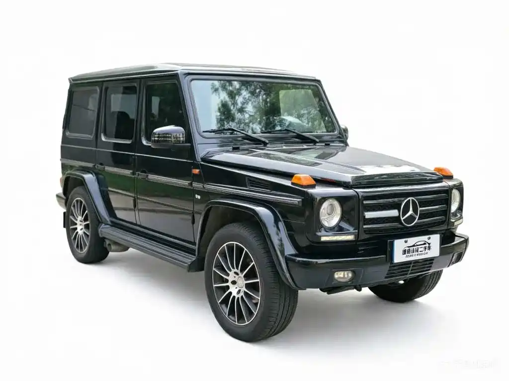 Mercedes-Benz G-Class 2010 — фото 3
