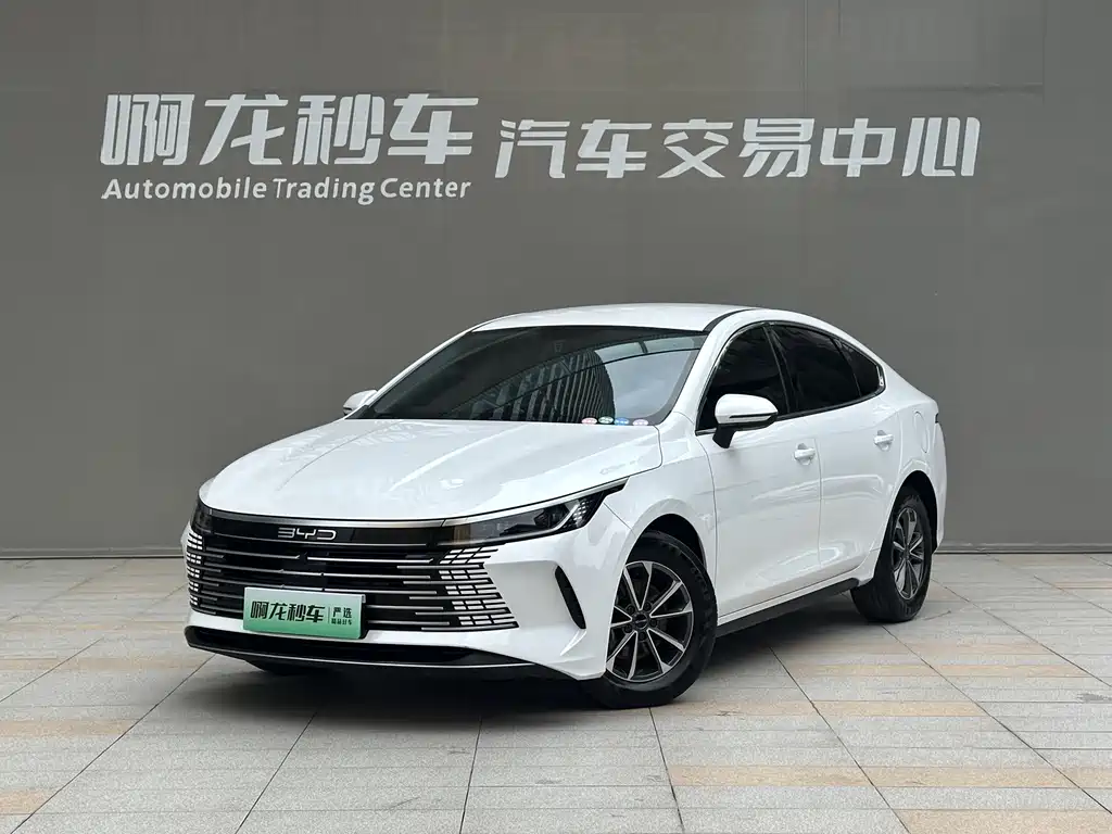 BYD Destroyer 05 2024 — фото 1