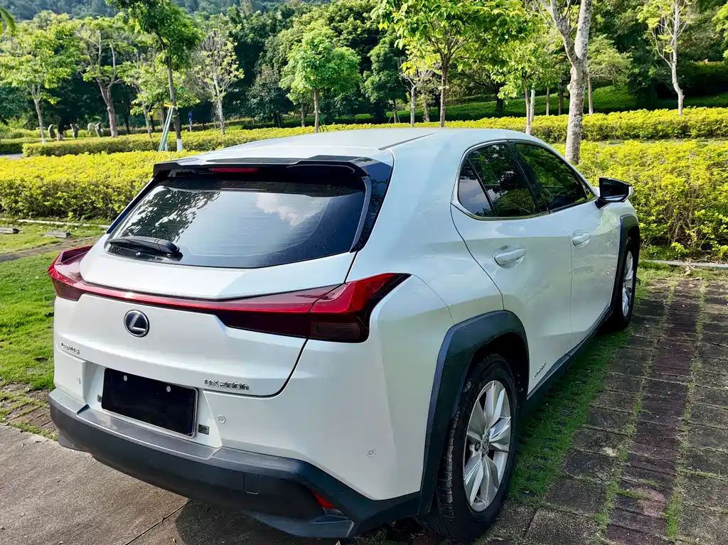 Lexus UX 2019 — фото 15