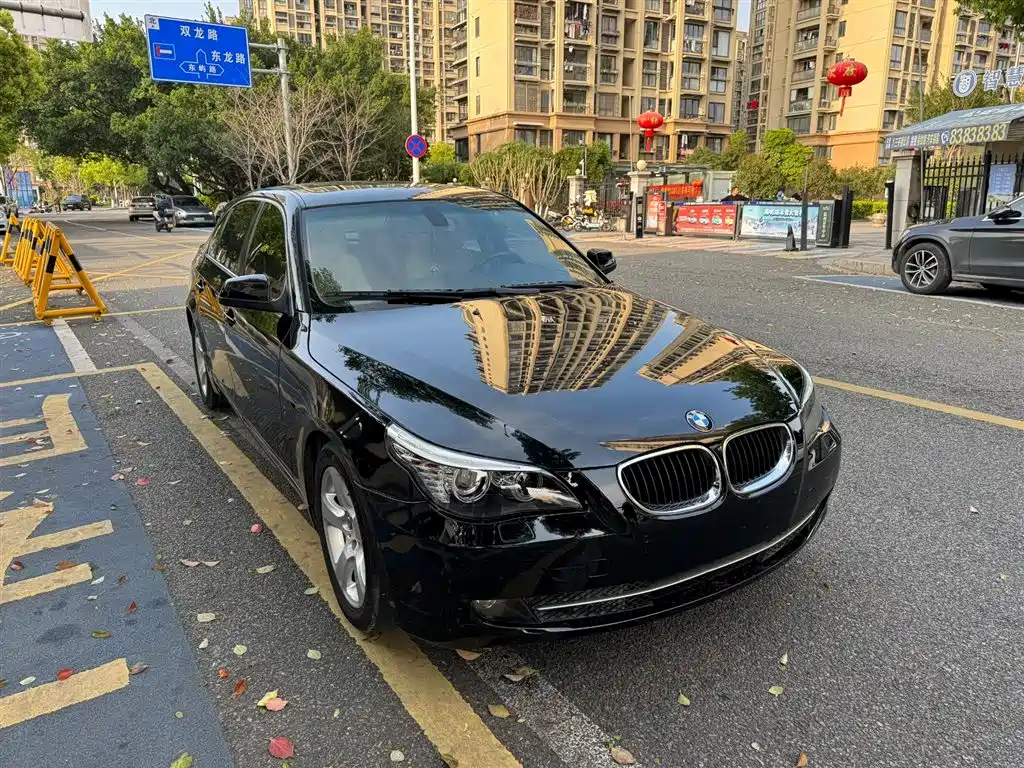 BMW 5 Series 2010