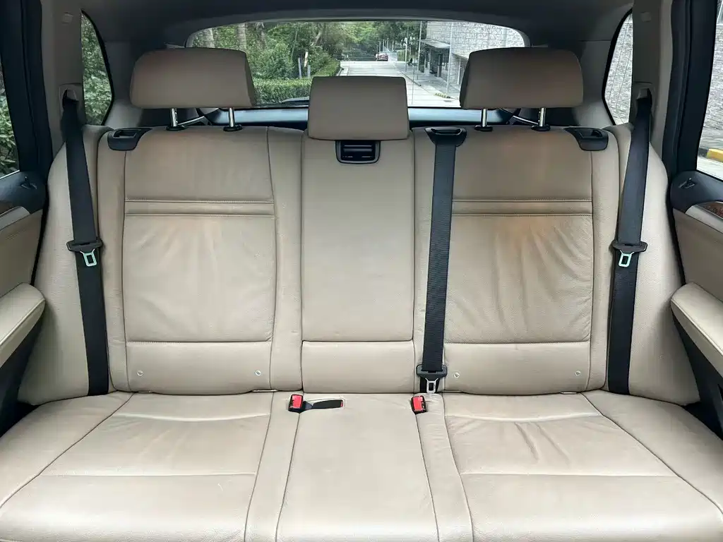 BMW X5 2010