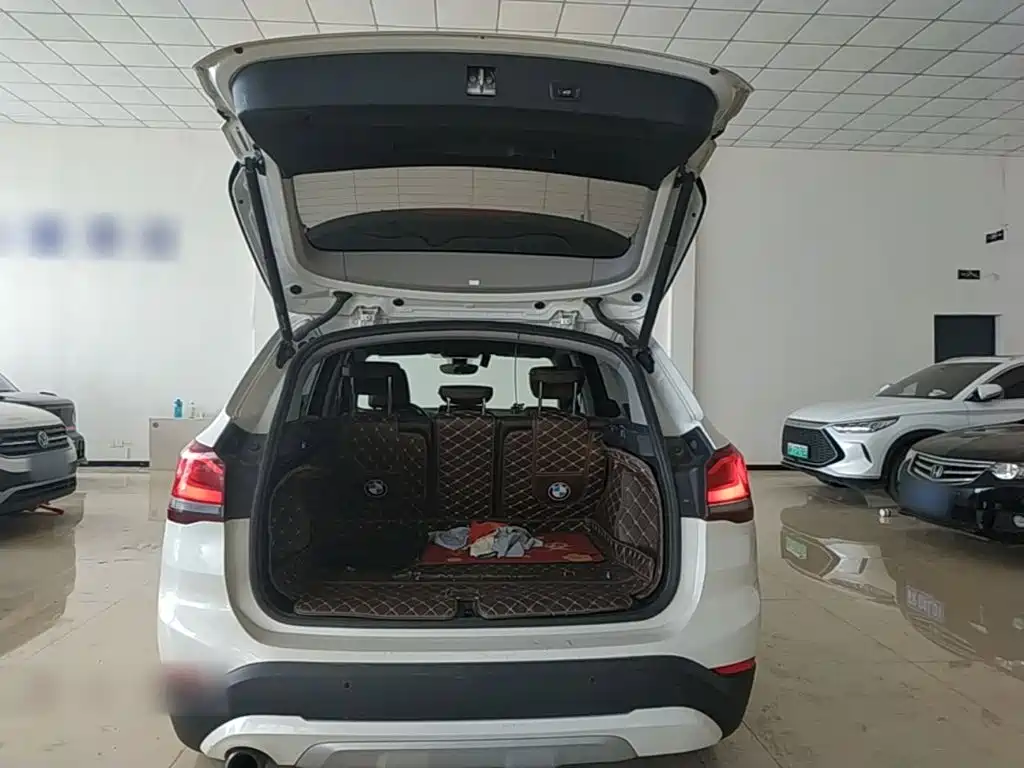 BMW X1 New Energy 2020 — фото 19