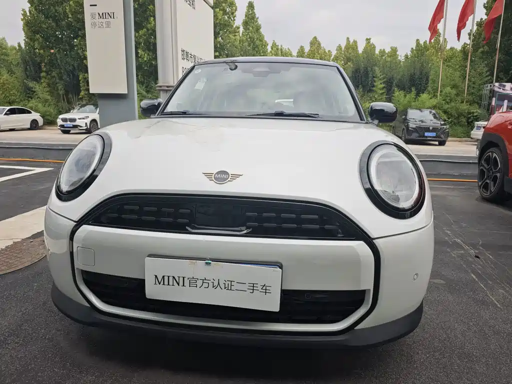 MINI MINI 2025