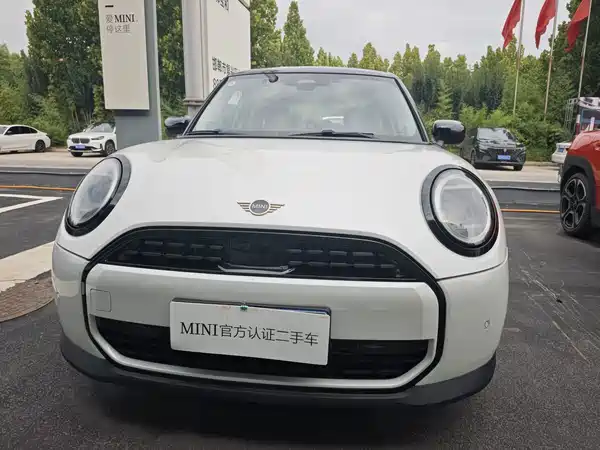 MINI MINI 2025