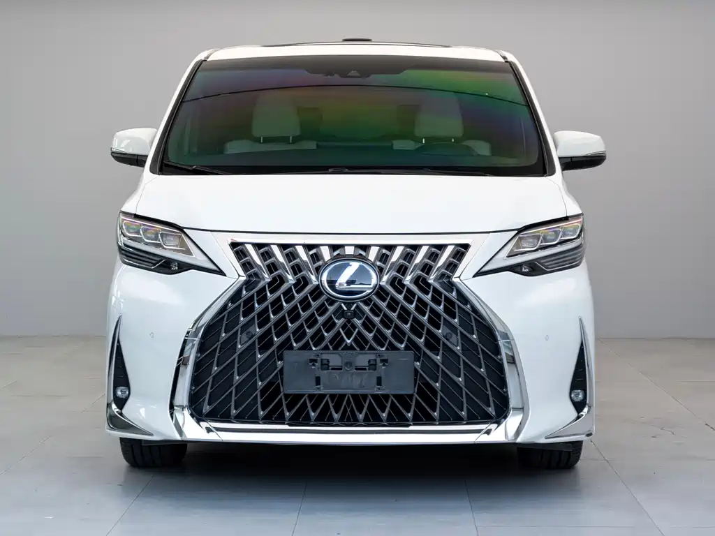 Lexus LM 2020 — фото 1