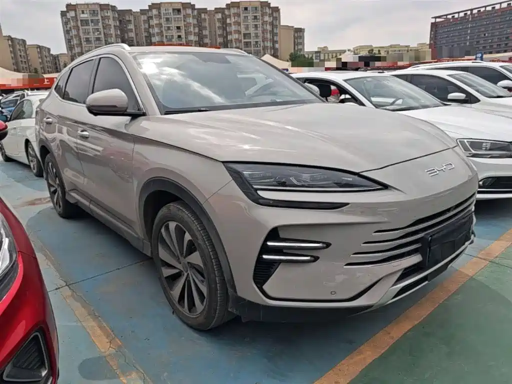BYD PLUS New Energy 2024 — фото 4